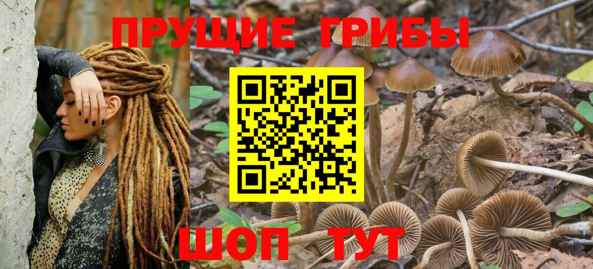 Галлюциногенные грибы мухоморы  Вход с VPN  Галлюциногенные грибы Cubensis  наркошоп  Соликамск 