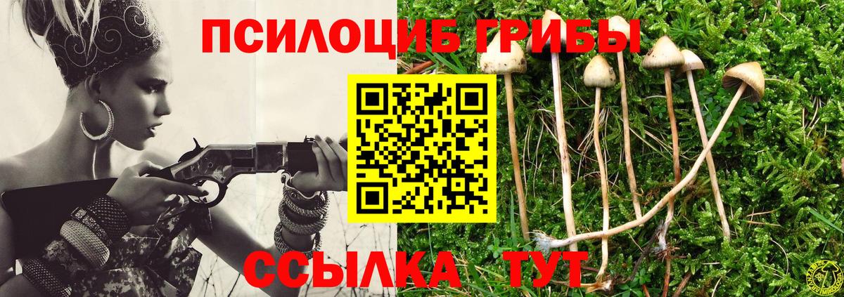 Псилоцибиновые грибы мицелий Соликамск